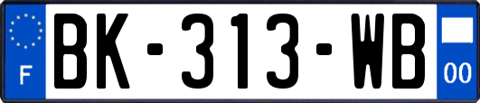 BK-313-WB