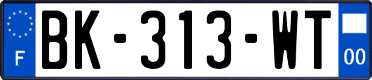 BK-313-WT