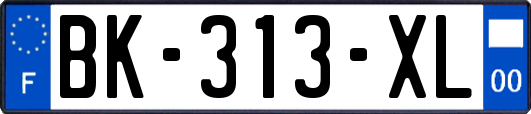 BK-313-XL