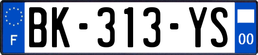 BK-313-YS