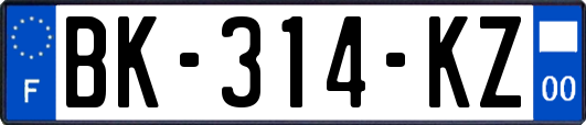 BK-314-KZ