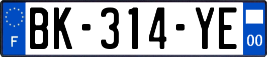 BK-314-YE