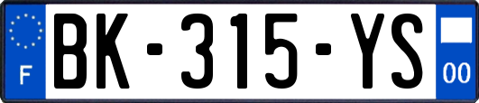 BK-315-YS