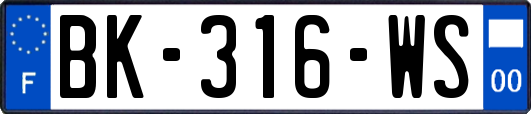 BK-316-WS