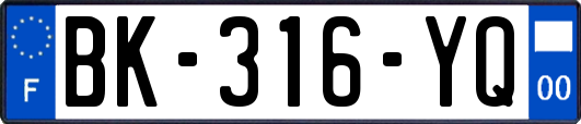 BK-316-YQ