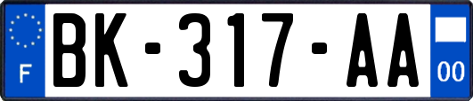 BK-317-AA