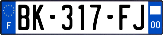 BK-317-FJ