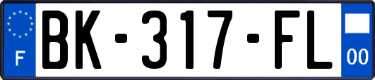 BK-317-FL