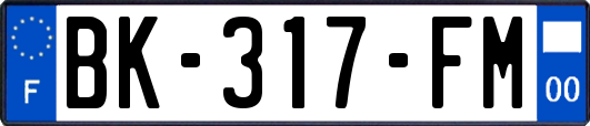 BK-317-FM