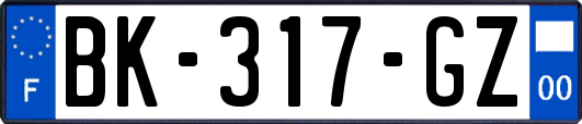 BK-317-GZ