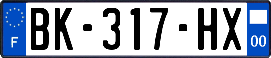 BK-317-HX