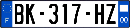 BK-317-HZ