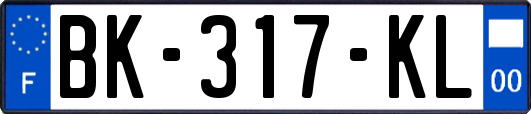 BK-317-KL