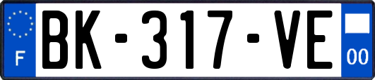 BK-317-VE