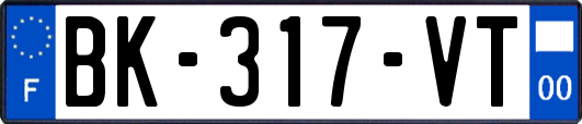 BK-317-VT