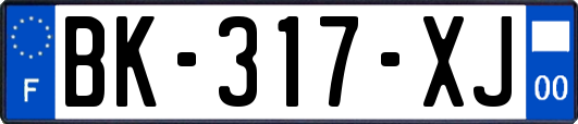 BK-317-XJ