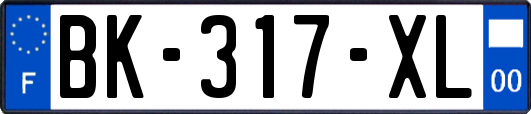 BK-317-XL