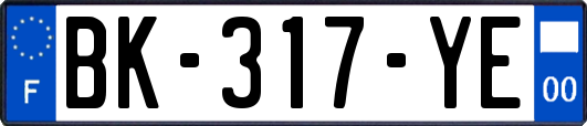 BK-317-YE