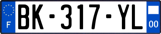 BK-317-YL