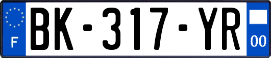 BK-317-YR