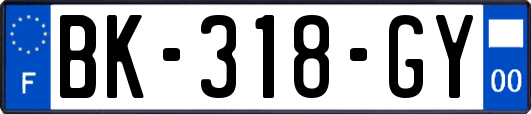 BK-318-GY