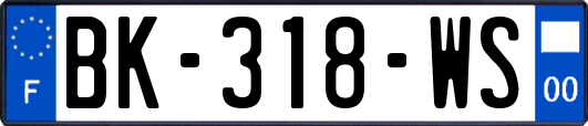 BK-318-WS