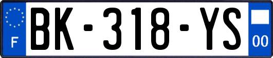 BK-318-YS