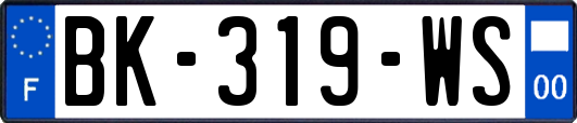 BK-319-WS