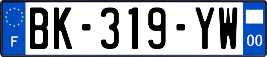 BK-319-YW