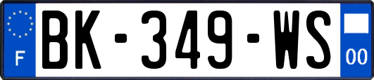 BK-349-WS