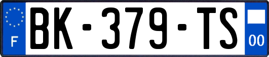 BK-379-TS