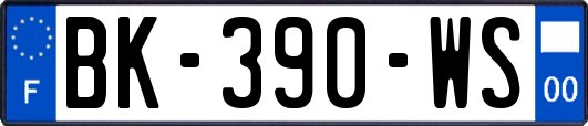 BK-390-WS