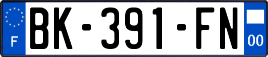 BK-391-FN