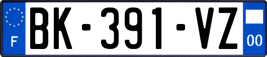 BK-391-VZ