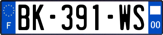 BK-391-WS