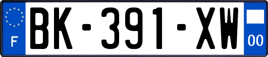 BK-391-XW