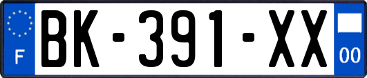 BK-391-XX