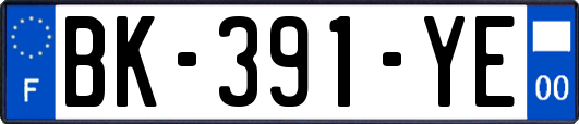 BK-391-YE