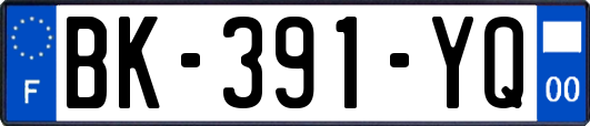 BK-391-YQ