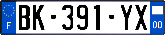 BK-391-YX