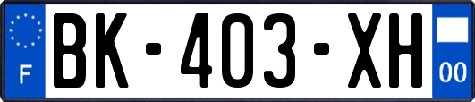 BK-403-XH