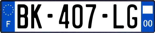 BK-407-LG