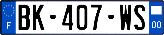 BK-407-WS