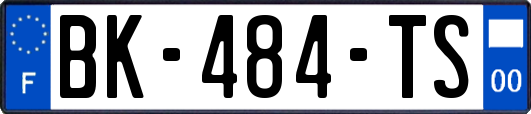 BK-484-TS