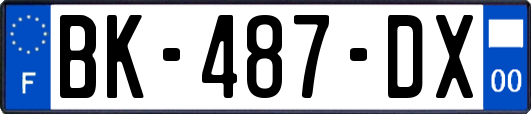 BK-487-DX