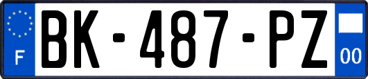 BK-487-PZ