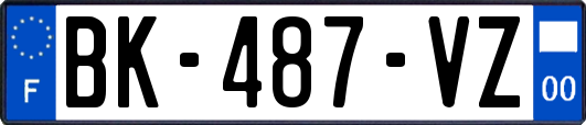 BK-487-VZ