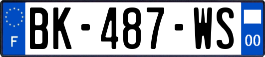 BK-487-WS