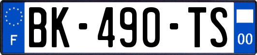 BK-490-TS