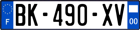 BK-490-XV